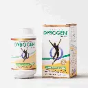 DYBOGEN04.webp
