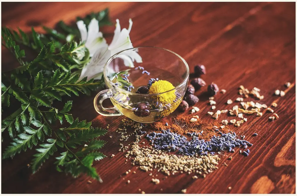 unsplash_mRaNok_Ld6s_ayurveda.webp